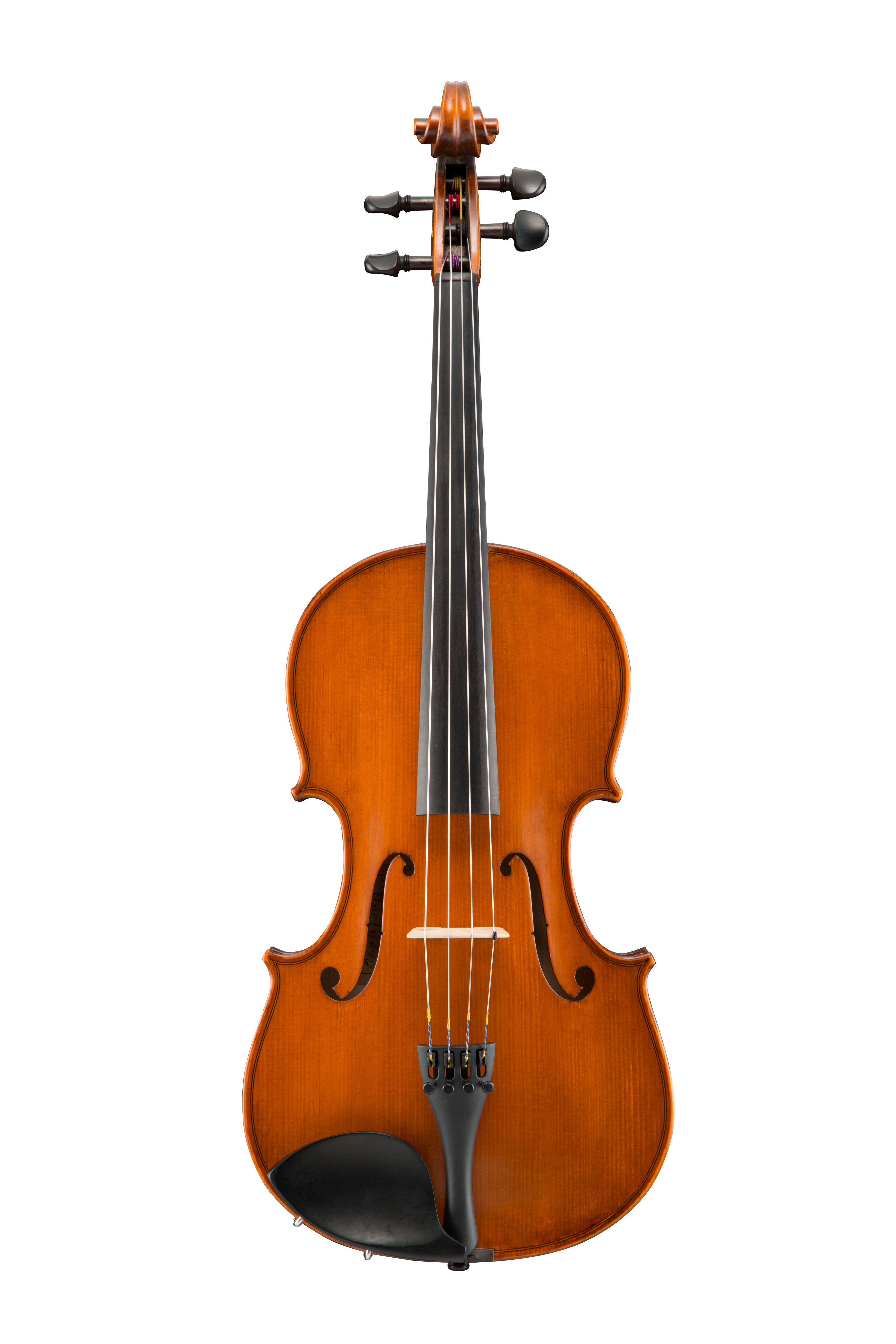 VA140 Samuel Eastman Viola 16.5" -11"