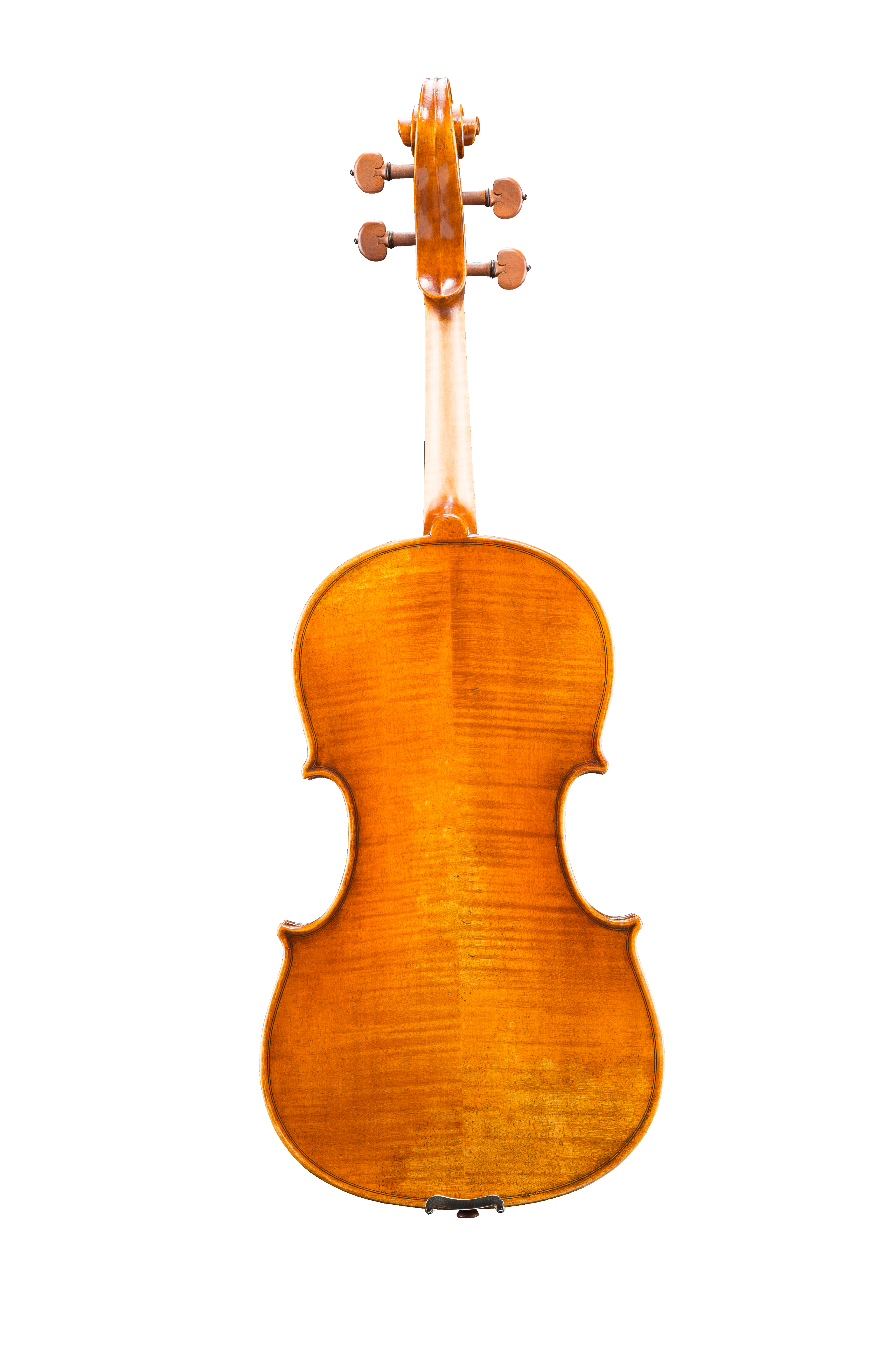 VA502 Pietro Lombardi Viola 17" - 15"